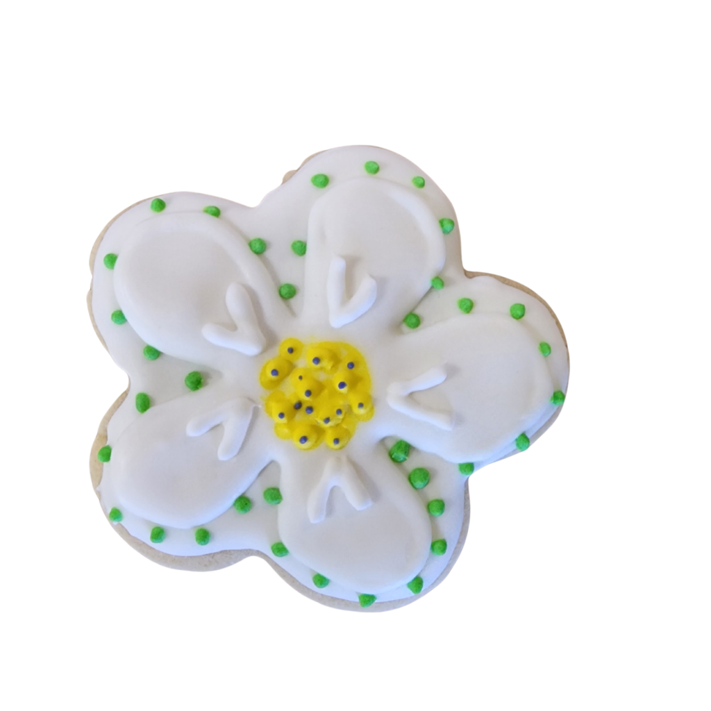 White flower sugar cookie with delicate blue accents and a yellow royal icing center.